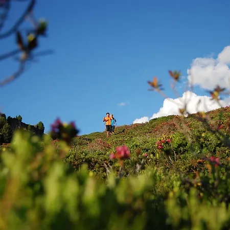 Neue Post מלון 3*